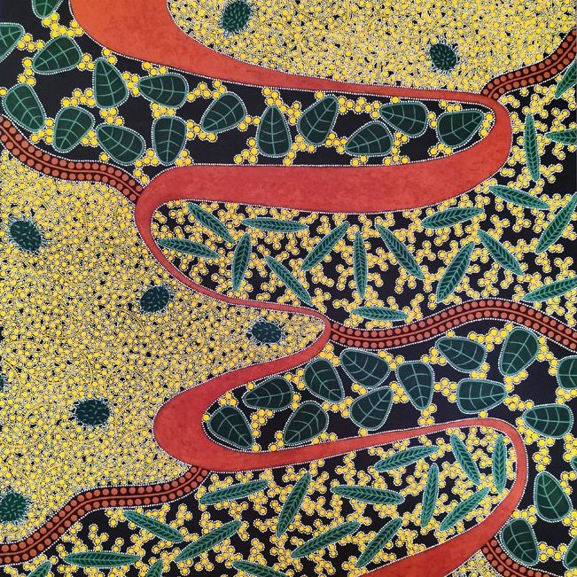 Rachel Cross - Wattle Walk web